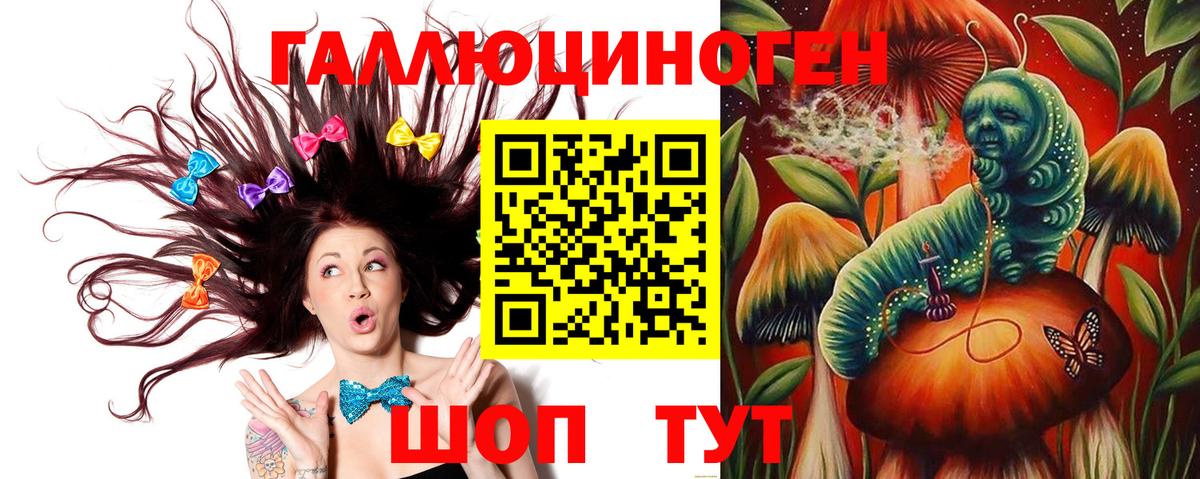 Галлюциногенные грибы Psilocybe Шарыпово