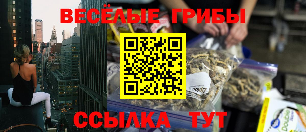 Псилоцибиновые грибы GOLDEN TEACHER  Вход с VPN  Шарыпово 
